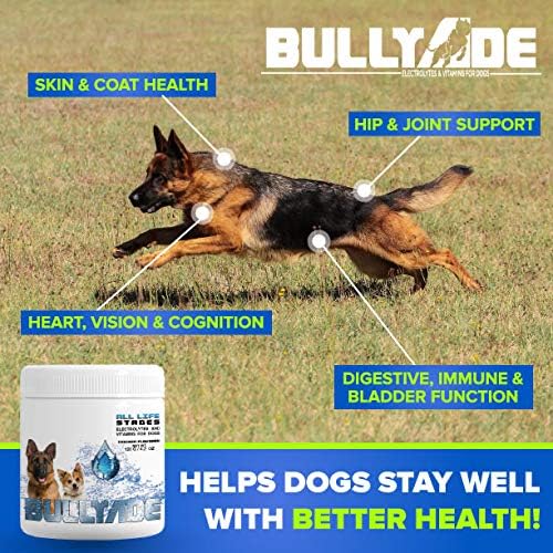 Natural Dog Supplement with 18 Vitamins, Minerals & Electrolytes. Mixes with Water or Food. (Beef)