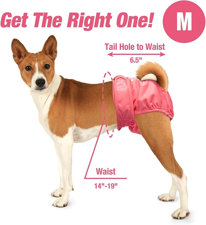 Pet Soft Washable Female Diapers (3 Pack) Female Dog Diapers, Comfort Reusable Doggy Diapers for Girl Dog in Period Heat (Sprightly, M)