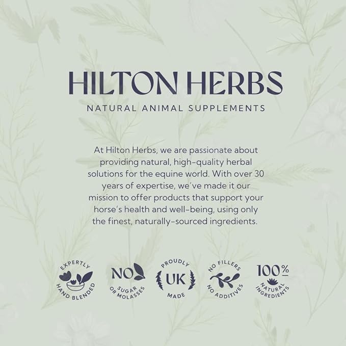 Hilton Herbs Senior Dog Optimum Health Supplement for Older Dogs, 2.1 oz Tub