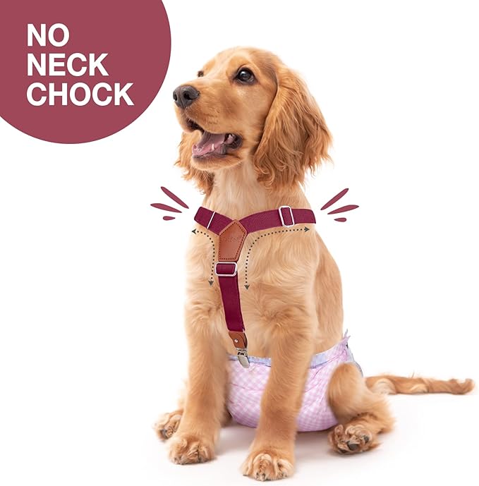 Pet Soft Dog Suspenders 2 Pieces Female Dog Diaper Suspenders for Dogs Diaper Keeper Suspender for Dogs Skirt, Doggy Dress (Brown & Burgundy, XS/S)