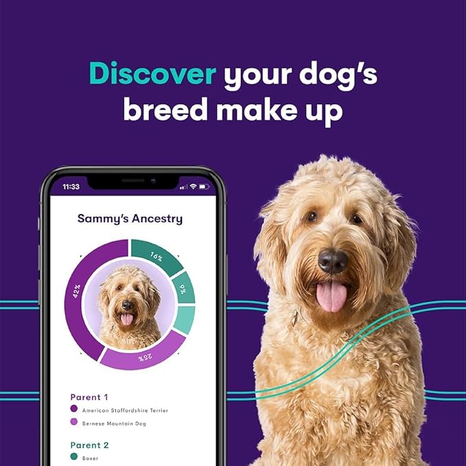 ORIVET Dog DNA Test Kit – Comprehensive Dog DNA Test Kit for 365+ Breed Identification & 330+ Health Markers | At Home Dog DNA Kit with Canine Genetic Testing & Life Plan Genopet Plus