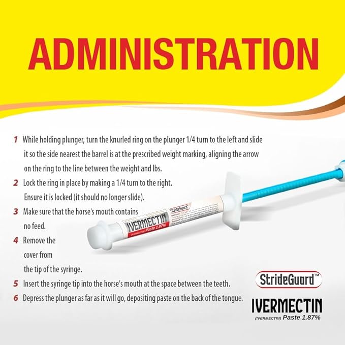 Horse Ivermectin Paste 1.87% – Apple Flavored Oral Horse Dewormer Syringe – 6.08g Tube Treats Horses Up to 1250 LB [Pack-24]