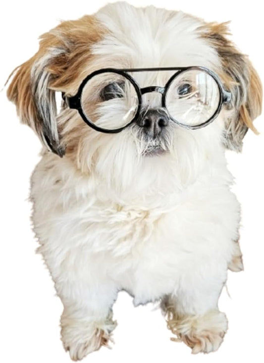 G002 Dog Pet Clear Lens Costume Glasses Small to Medium Breeds 12LBS~30LBS Prop Photoshoot Sunglasses (BR Round Black-Clear)