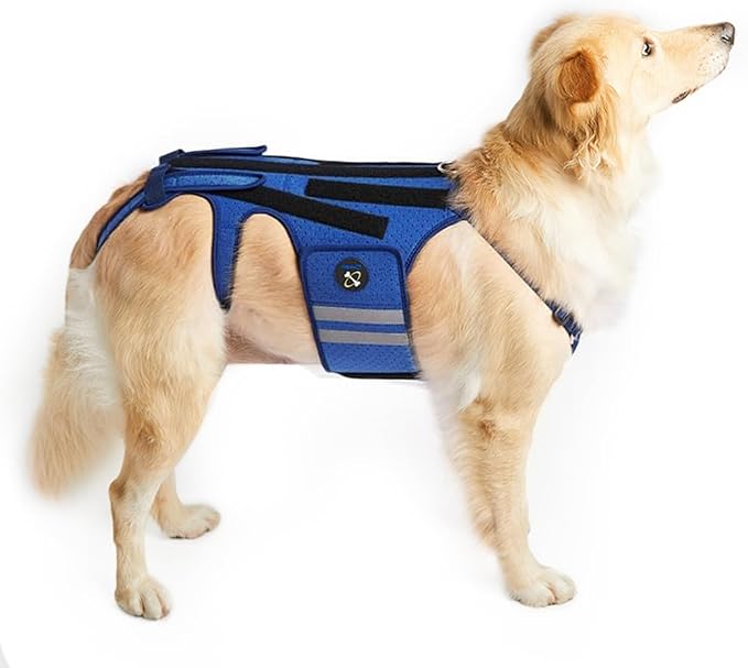 Coodeo Dog Back Brace for Dogs Arthritis, Pet Back Bracer for IVDD, Back Protector Helps Pain Relief, Surgical Recovery and Rehabilitation, Dogs Back Disease Prevention. (Blue,X-Large)