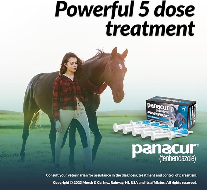 MERCK ANIML Health/DURVET Panacur Powerpac Dewormr Fenbendazole 1 Pack 57 Gram Paste 10%