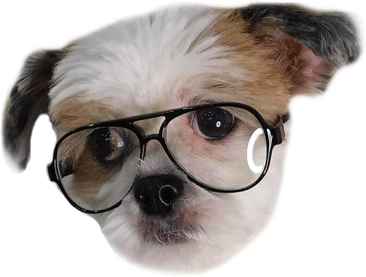 G015 Dog Cat Pet Costume Glasses for Small Breeds up to 15lbs (Aviator Black-Clear Lens)