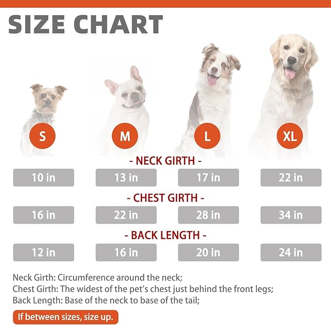 KOOLTAIL Fall Dog Shirt, Thanksgiving Orange Plaid Pet Shirts, Cute Dog Apparel Clothes Suitable for All Seasons, Comfortable Dogs T-Shirt for Small Medium Large Dogs Cats, Pet Outfit Costume, S