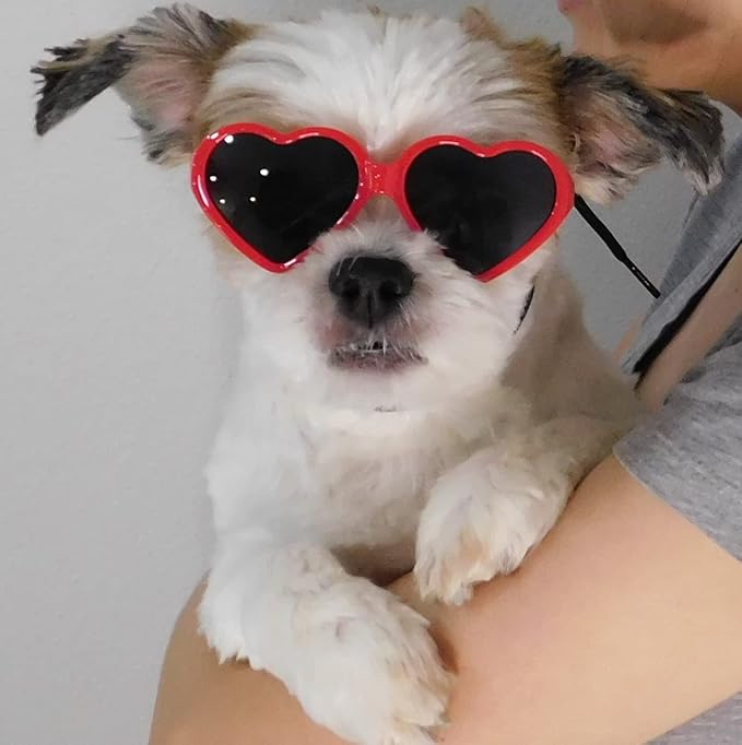 G016 Dog Cat Pet Puppy Heart Sunglasses Glasses for Small Breed up to 15lbs (2-Pack Heart Red + Heart White)