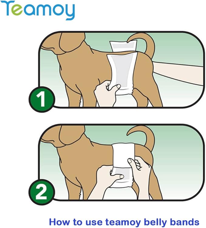 Teamoy Male Dog Belly Bands Washable 4-Pack, Reusable Dog Diapers Wraps for Incontinence & Marking (M,13"-16" Waist)