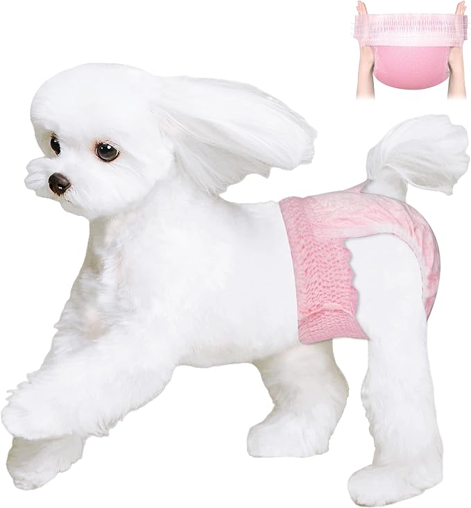 Ambreview Disposable Dog Diapers Female, Just Pull It Up, Doggie Diapers for Female Dogs, Strong Absorbency | Leak Proof, for Dogs in Heat | Elderly | Disabled, S 100 PCS