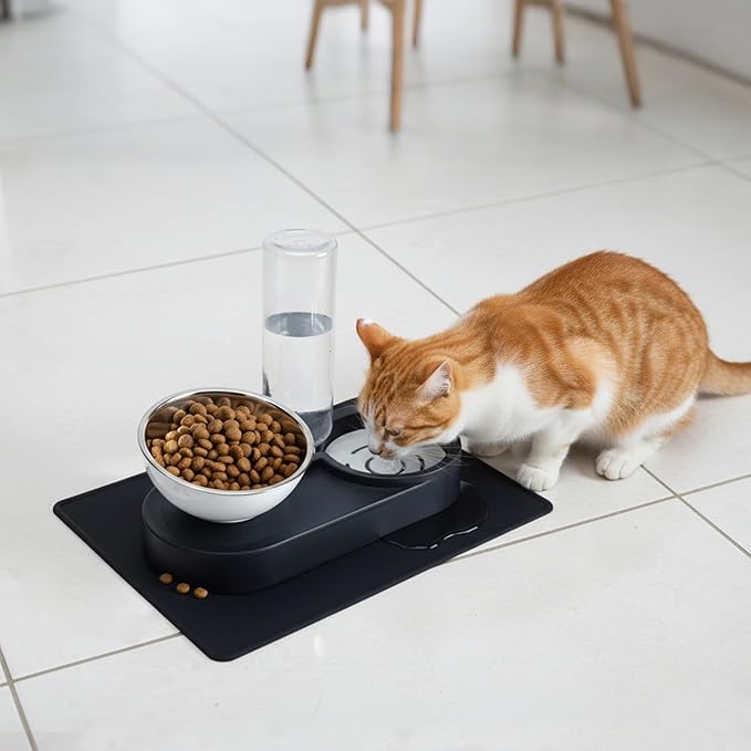 Raised Dog Cat Food Bowl, Cat Food and Water Bowl Set with Water Dispenser, Stainless Steel Bowls and Feeding Mat, Food Feeding Dishes for Indoor Cats and Small Dogs, Black
