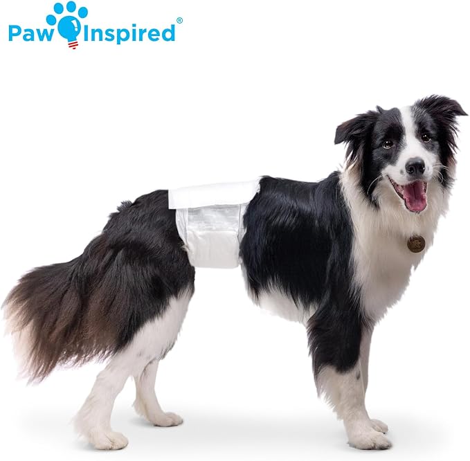Paw Inspired Disposable Male Dog Wraps, Belly Band for Dogs | Disposable Dog Diapers | Belly Bands for Male Dogs (12 Count, Medium)