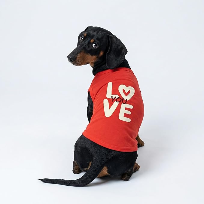 Fitwarm Love You Dog Shirt, Funny Valentines Outfit for Small Dogs Boy Girl, Festive Pet Clothes, Red, White, XS