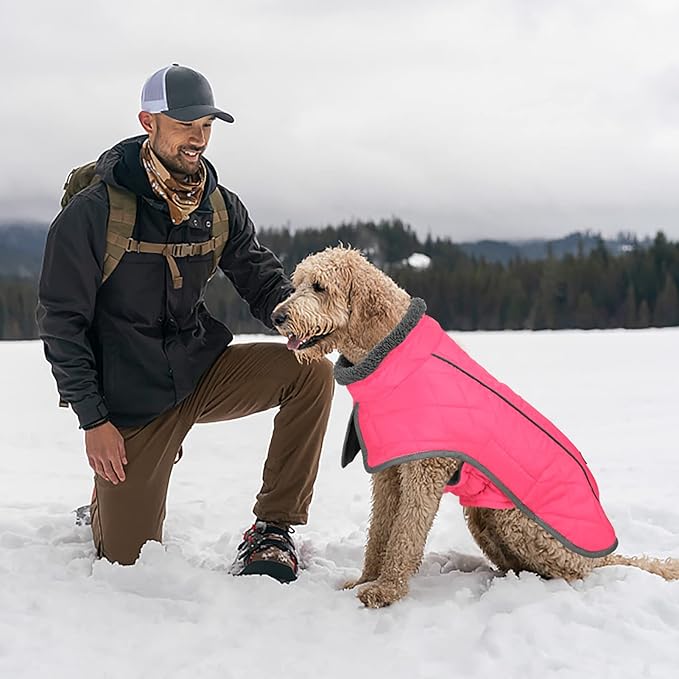 Fragralley Dog Coat Small, Waterproof Dog Jacket with Warm Fleece Lining, Adjustable Reflective Dogs Winter Coat, Turtleneck Pet Coats for Cold Weather (Pink S)
