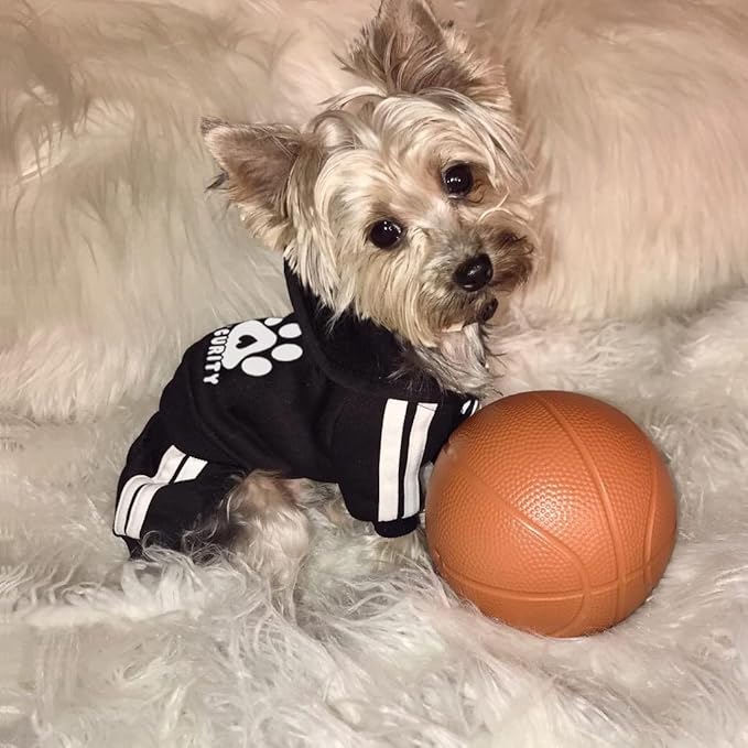 Dog Hoodie Security Clothes 4 Legs Jumpsuit Sweatshirt Hoodies Soft & Warm Dog Outfit Pullover Dog Winter Clothes Sweater for Small Medium Large Dogs Cats (Black, X-Small)