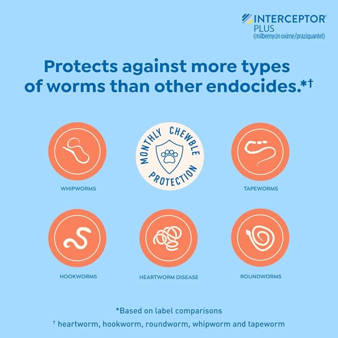 Interceptor Plus Prevention for Heartworm + 4 Other Worms for Dogs 2-8 lbs. | 6 Chews, 6-Month Supply