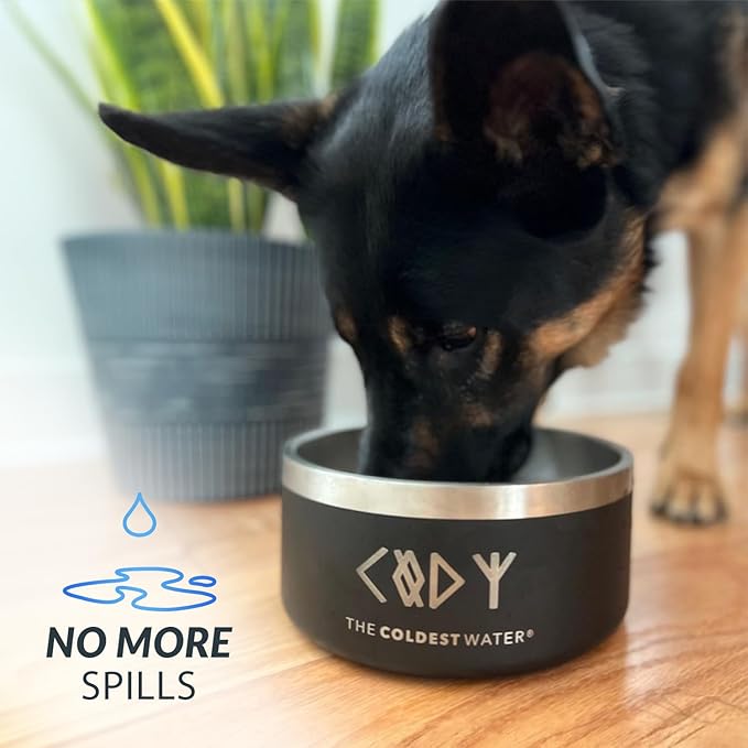Coldest Dog Bowl - Anti Rust Metal, Non Slip, 3 Layers Insulated Stainless Steel Dog Bowls - Spill Proof & Heavy Duty - Water Bowl for Dogs, Cats & Pets, Dish Washer Safe (100 oz, Cotton Candy Pink)