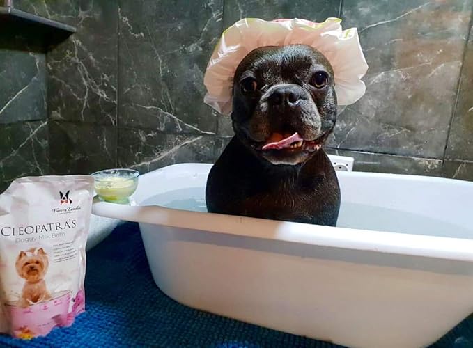 Warren London Cleopatra's Doggy Milk Bath | Luxurious Dog Shampoo and Conditioner w/Whole Milk Powder and Honey for Silky Smooth Coat | Use as a Full Bath Soak or Spray On Dog Shampoo | 12oz