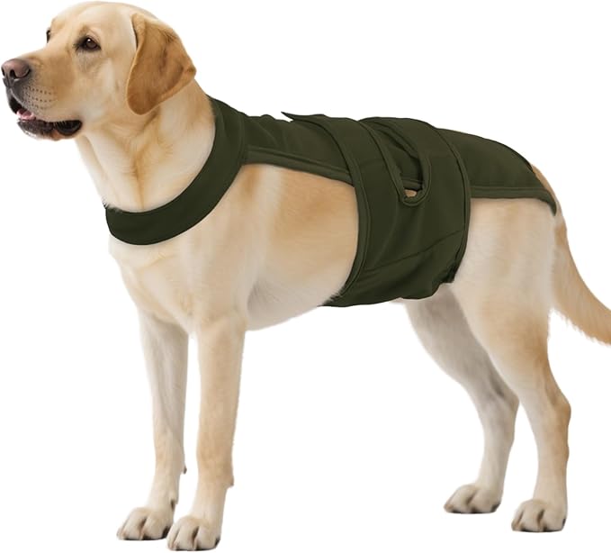 QBLEEV Female Dog Diapers with Adjustable Suspenders – Washable Sanitary Panties for Dogs in Heat or Incontinence, Escape-Proof Reusable Pet Period Underwear Onesie for Small to Large Breeds
