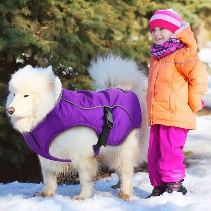 EMUST Dog Coat Winter, Waterproof Pet Snow Jacket for, Adjustable Small/Medium/Large Dog Coat/s for Winter, Purple, L