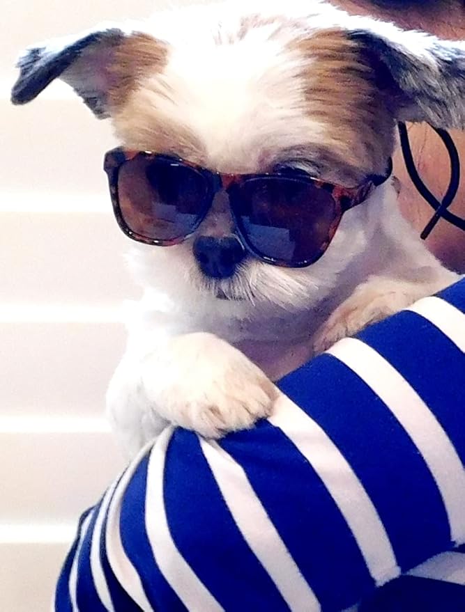 G014 Dog Cat Pet 80s Sunglasses Goggles for Small Breeds up to 15lbs (2-Pack Black+Tortosie Brown)