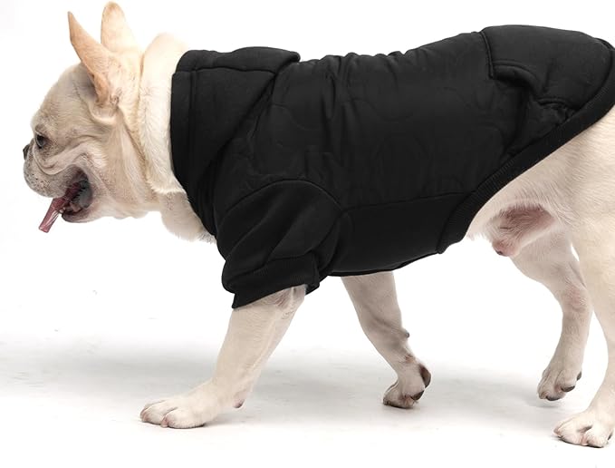 KOOLTAIL Warm Dog Winter Coat for Small Dogs, Waterproof Puppy Jacket with Leash Hole, Cold Weather Pet Vest for Winter, Soft Pet Hoodie Sweater Sweatshirt Clothes for Puppy Cats Girls Boys Black S