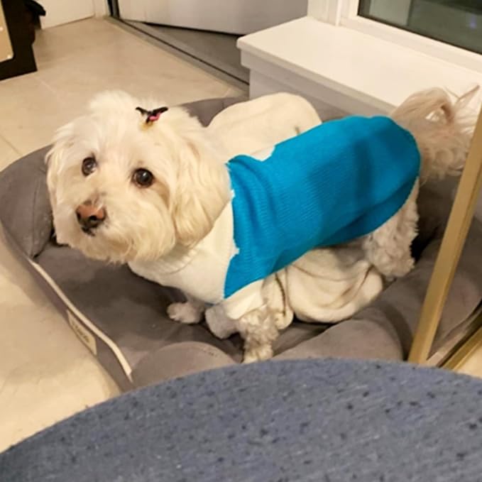 CHBORCHICEN Pet Dog Sweaters Classic Knitwear Turtleneck Winter Warm Puppy Clothing Cut Strawberry and Heart Doggie Sweater (Sky Blue, Medium)