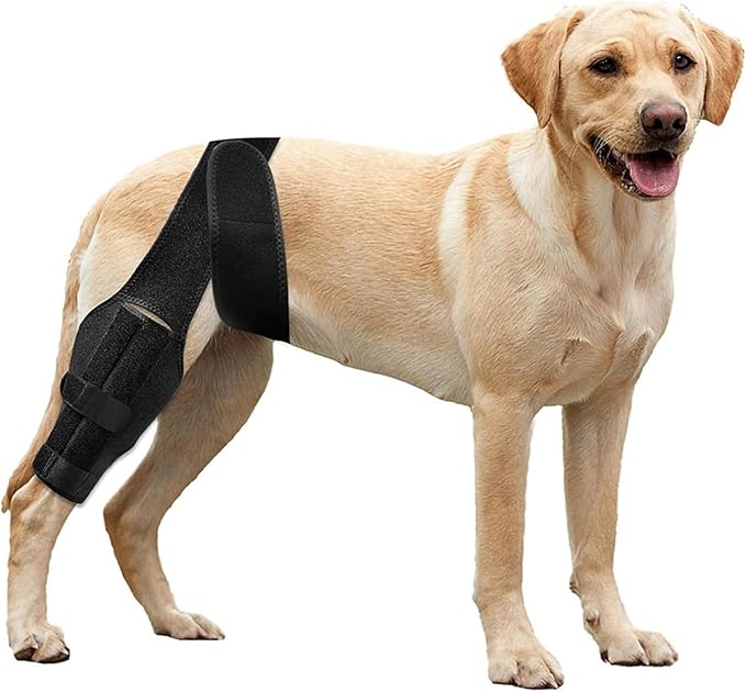Dog Knee Support for Cruciate Injury – Flexible Stabilizer with Adjustable Straps, Breathable Neoprene, 4-Leg Universal Fit (Front/Hind, Left/Right), Ideal for Post-Op Healing (M)