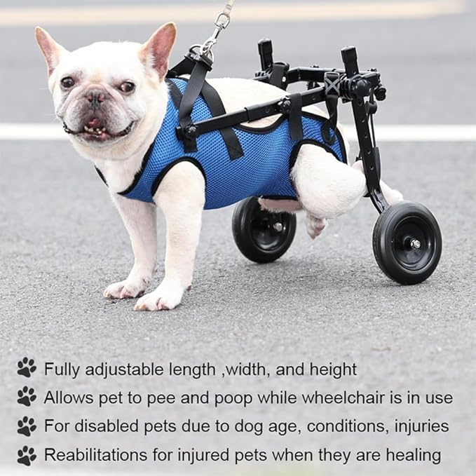 Adjustable Small Dog Wheelchair - Mobility Aid for Disabled Pets,Small Dog Wheelchair for Back Legs， Leg Brace & Hip Support - 8-20 lbs (Extra Small)