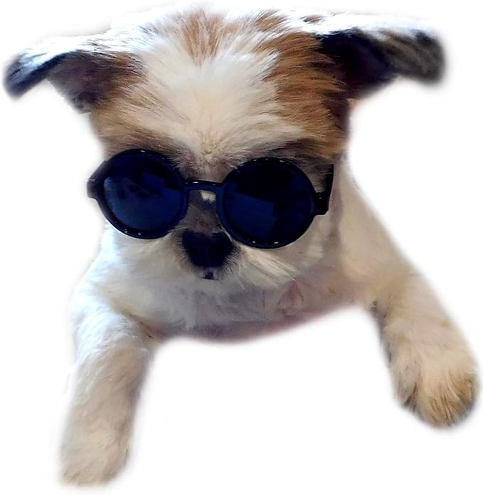 G016 Dog Cat Pet Round Sunglasses Goggles for Small Breed Dogs up to 15lbs (2-Pack Black + Pink)