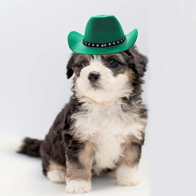 Pet Dog Costume Cowboy Hat Cosplay Cap Puppy Pet Dog Cat Holiday Pet Party Decoration (Green)