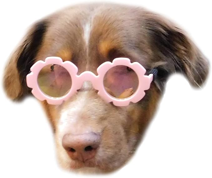 G001 Dog Sunglasses for Costume Medium Breeds (20-40lbs) (Flower Pink-Pink Mirror)