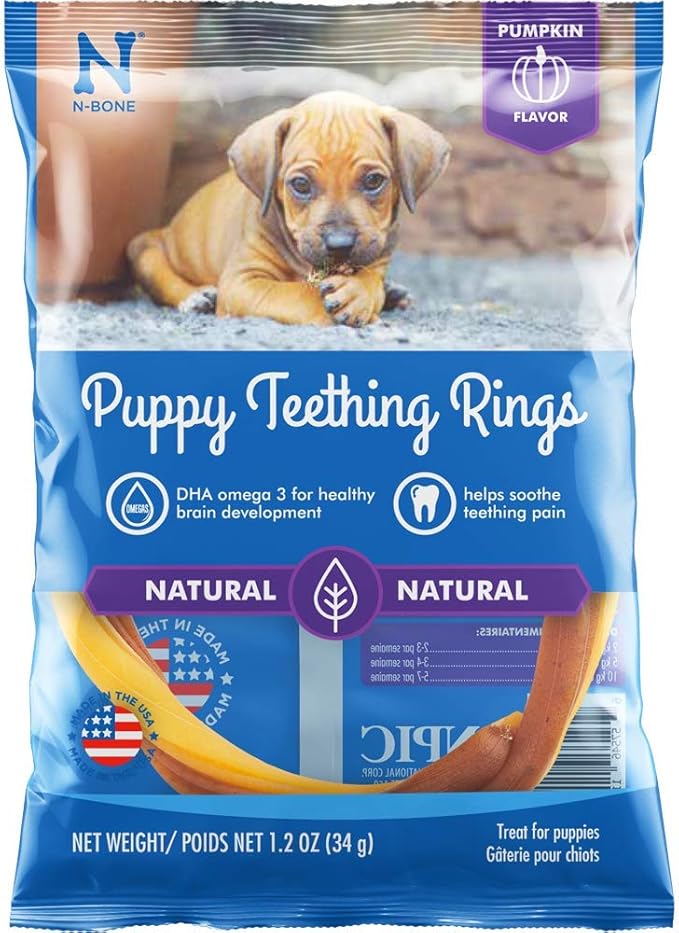 N-Bone Puppy Teething Ring Pumpkin Flavor, Single