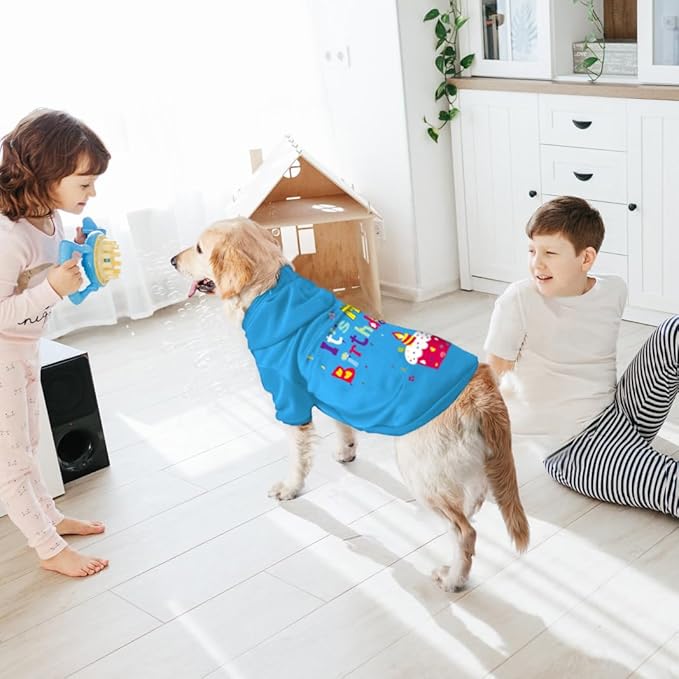 GreenJoy Dog Sweater Dog Hoodie Cold Weather Coat Hooded Sweatshirt for Puppies,Cats, Small Medium Large Dogs (Blue(It's My Birthday), X-Large)