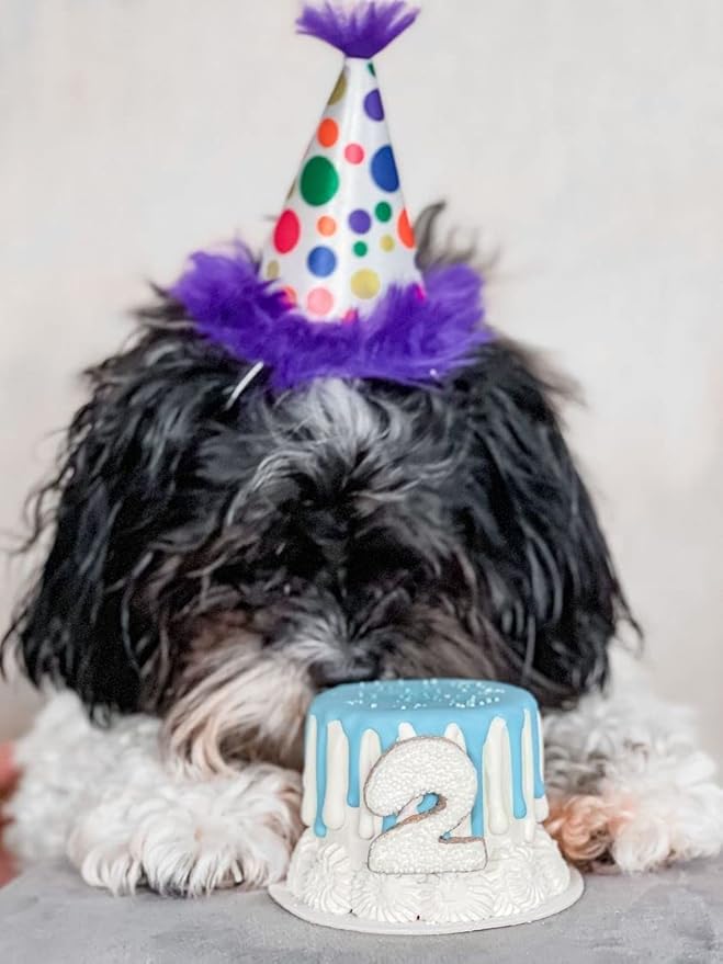 Huxley & Kent Pet Party Hat | Happy Barkday (Small) | Birthday Hat for Dogs and Cats | Adjustable Strap for Comfort and Stability | Perfect for Birthday Party, Adoption Celebration or Gotcha Day