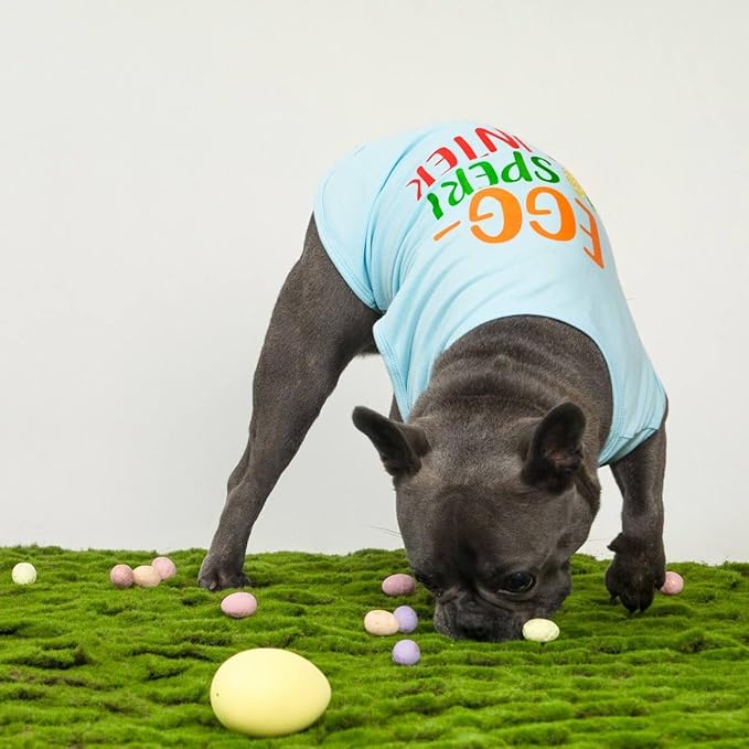 Fitwarm Egg-spert Hunter Dog Easter Outfit, Summer Clothes for Small Dogs Boy Girl, Pet Outfit, Blue, Red, Green, Orange, XS