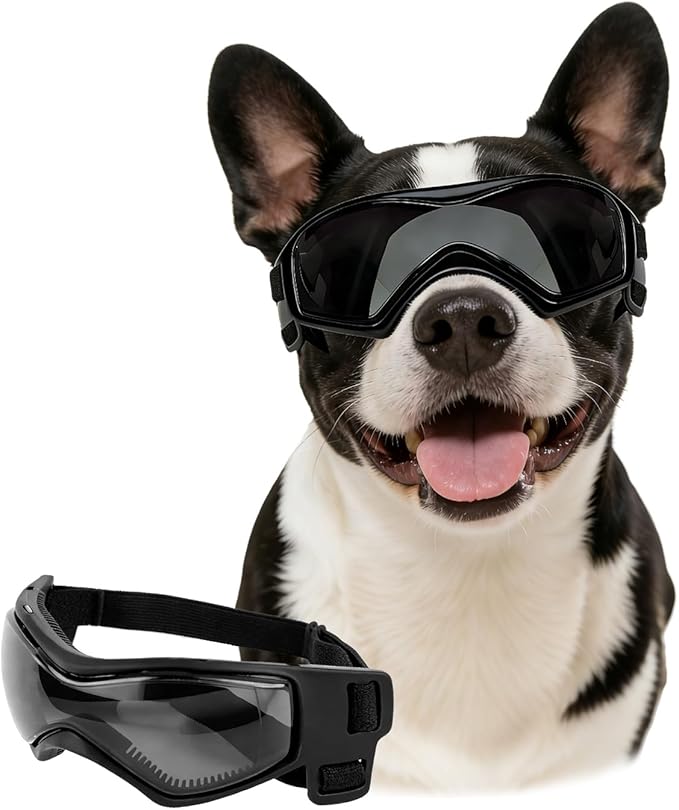 LESYPET Small Dog Sunglasses Dog Goggles UV Wind Dust Protection Pet Sunglasses Eye Protection for Outdoor Walking Riding, Black M