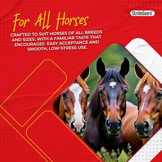 Horse Ivermectin Paste 1.87% – Apple Flavored Oral Horse Dewormer Syringe – 6.08g Tube Treats Horses Up to 1250 LB [Pack-6]