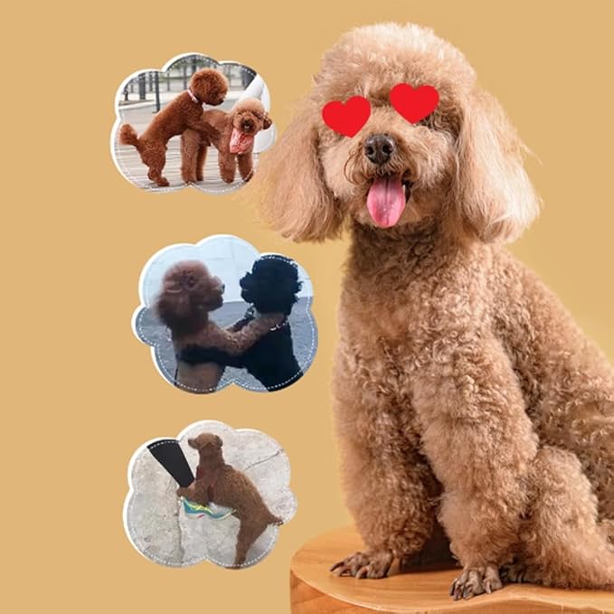 JIUSILIFE Dog Mating Toy, Male Dog Silicone Mating Toy, Anxiety Relief Dogs, Simulated Hair, Teddy Vent Interactive Toys, for Male Estrus,Sleeping Plush Toy, Pet Estrus,2,L