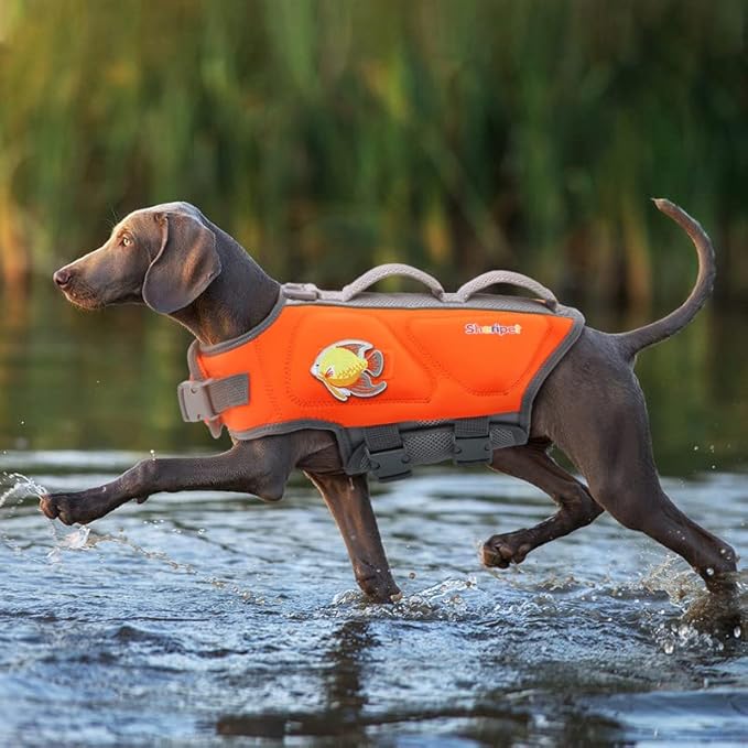 Dog Life Jacket for Large Dogs, Dog Life Vest for Swimming with Three Fashion Fabric Patches, Pet Safety Lifepreserver with Reflective Stripes and Two Rescue Handle, Dogs Flotation Vest, XL