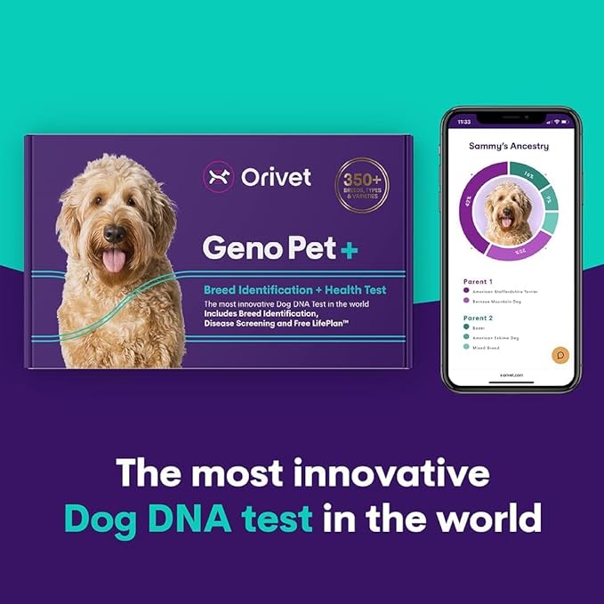 ORIVET Dog DNA Test Kit – Comprehensive Dog DNA Test Kit for 365+ Breed Identification & 330+ Health Markers | At Home Dog DNA Kit with Canine Genetic Testing & Life Plan Genopet Plus