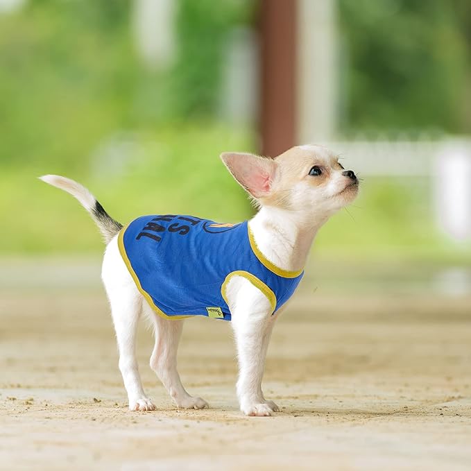 Saintrygo 8 Pieces Dog Shirts Pet Printed Clothes with Funny Letters Summer Pet T Shirts Cool Puppy Breathable Dog Outfit Soft Sweatshirt Cats(Classic Pattern,X- Large)