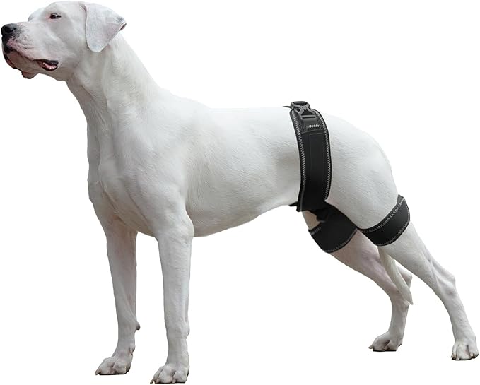 Dog Hip Brace – Support Harness for Hip Dysplasia, Joint Pain Relief, Prevents Hip Joint Issues, Orthopedic Support for Dogs(XL)
