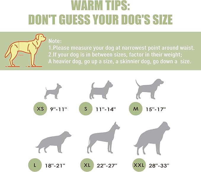 Wegreeco Washable Male Dog Diapers (Pack of 3) - Washable Male Dog Belly Wrap (Medium)