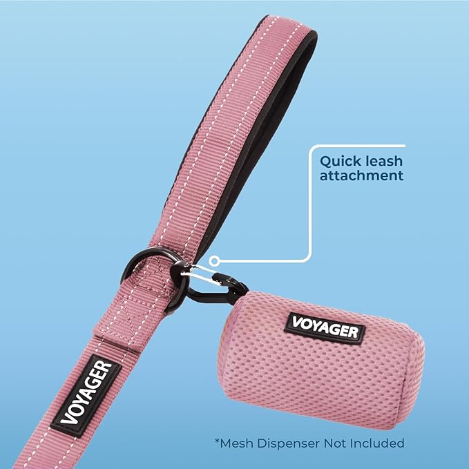 Best Pet Supplies Voyager Reflective Dog Leash or Collar with Neoprene Handle, for Small, Medium, and Large Breed Puppies, Cute and Heavy Duty for Walking, Running and Training - Pink Leash, L