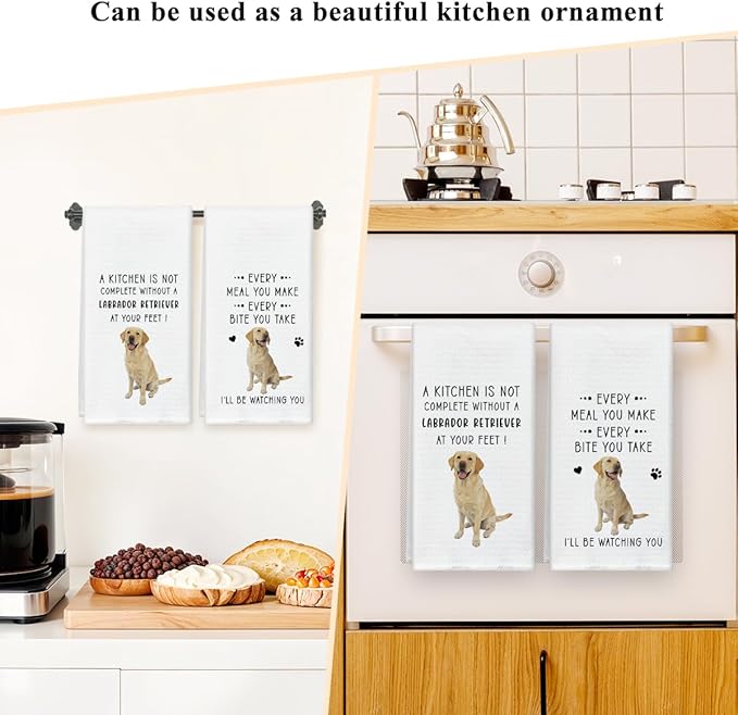 Funny Labrador Dish Towels for Kitchen Sets of 2, Gifts for Labrador Dog Lover, Drying Cloth Tea Towel Hand Towels for Cooking Baking Bathroom Decor, 16 x 24 Inch -20