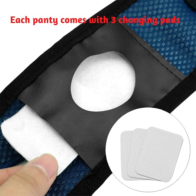 Every Pet Reusable Diapers with 3 Replace Diaper,Breathable Mesh Washable Dogs Sanitary Pads,Menstruation Diapers Panties Adjustable Sanitary Briefs for Small Medium and Large Dogs(2PCS Black,Small)