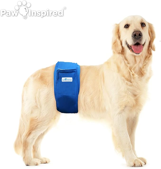 Paw Inspired 2-Count Reusable Male Dog Wraps, Washable Diapers for Male Dogs, Belly Bands for Incontinence, Surgery, Male Marking (XL Size, Assorted Colors with White Lining, Pack of 2)