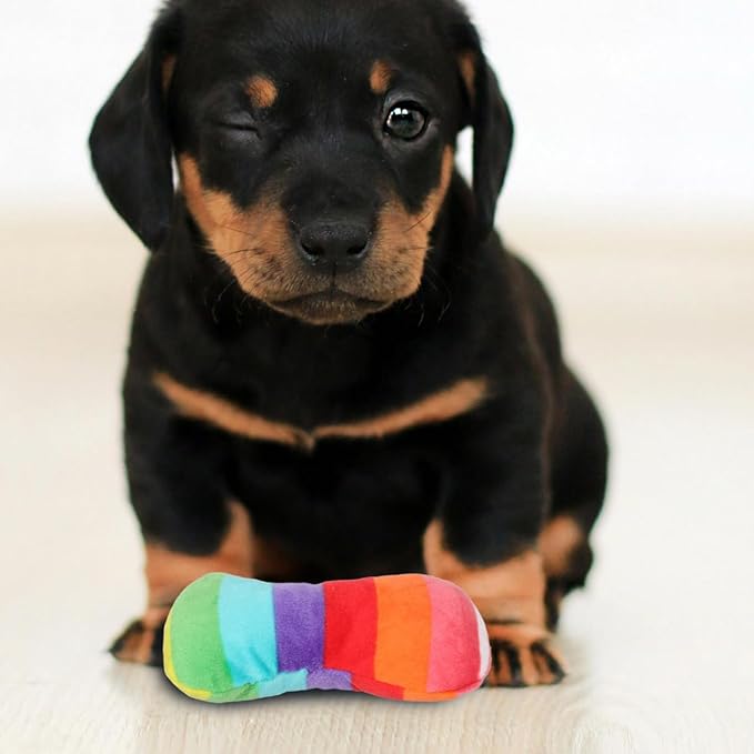 POPETPOP Durable Colorful Bone Dog Toy with Squeaker for Chewing and Teeth Grinding Plush Interactive Puppy and Dog Toy for Small Medium and Large Breeds