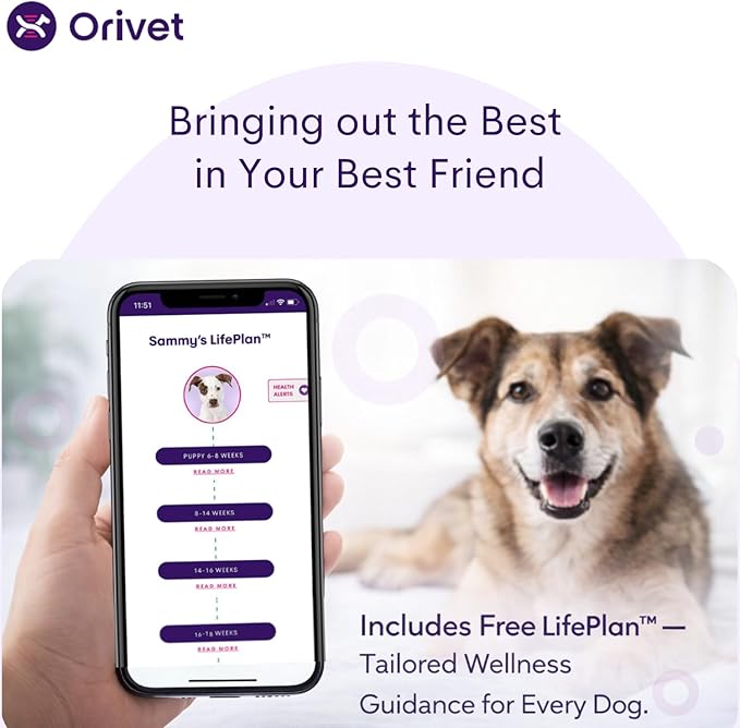 ORIVET Dog DNA Test Kit – Comprehensive Dog DNA Test Kit for Over 330+ Breed Identification | At Home Dog DNA Kit with Canine Genetic Testing & Life Plan Genopet